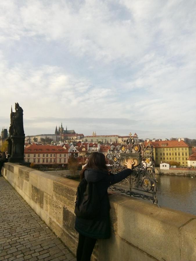 Apartmán Apartricanova Praha